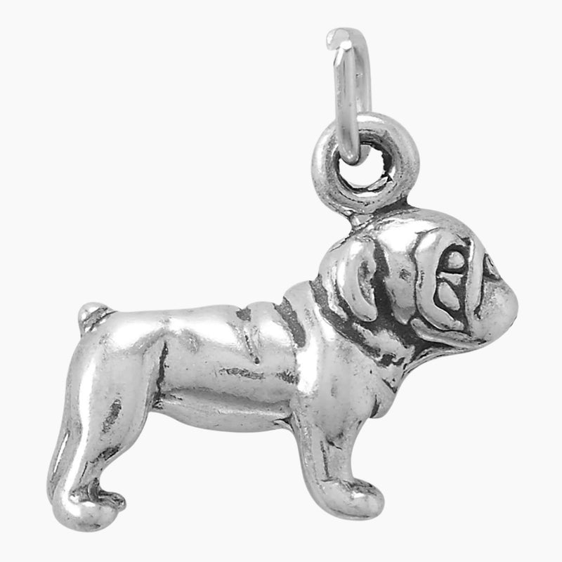 Adorable Bulldog Charm