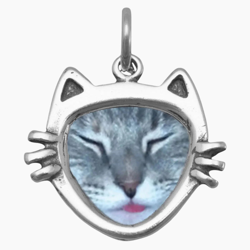 Cat Face Picture Frame Charm