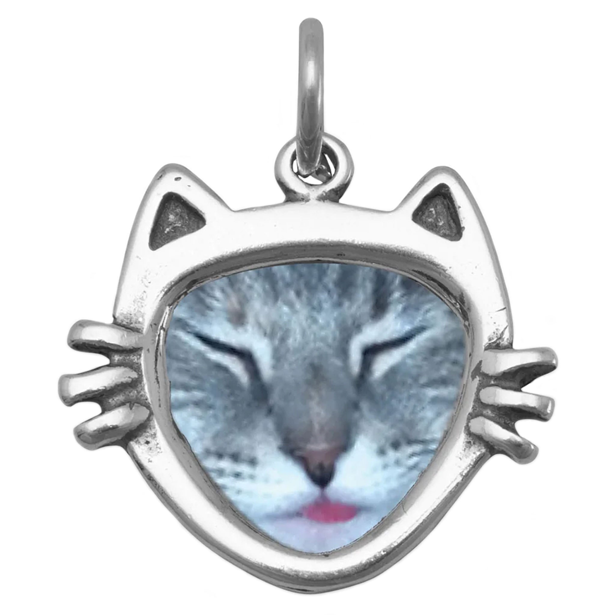 Cat Face Picture Frame Charm