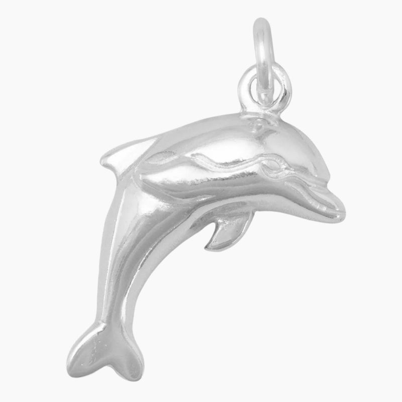 Dolphin Charm