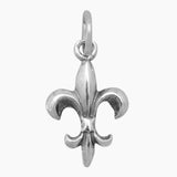 Fleur de Lis Charm