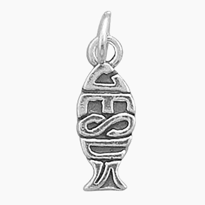 Jesus Ichthys Charm