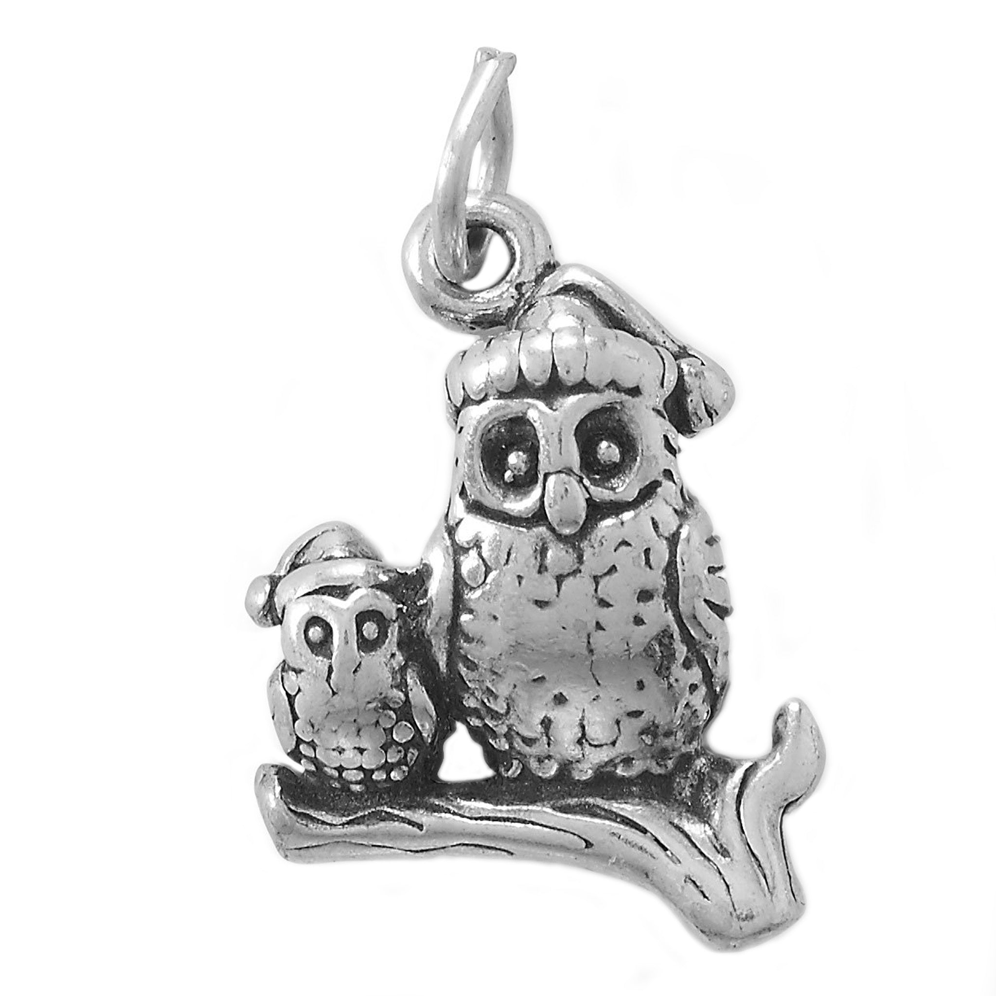 Momma and Baby Owl Charm
