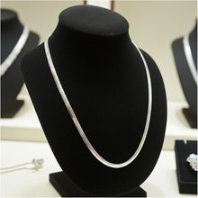 Omega Chain - 6mm on Bust Display