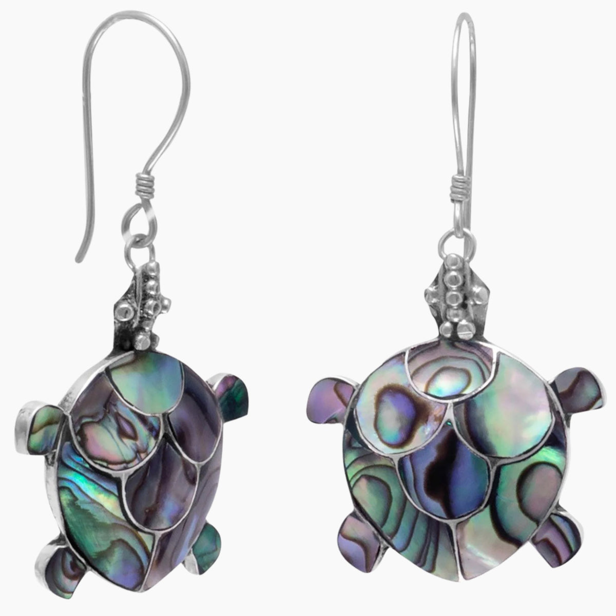 Paua Shell Turtle Earrings