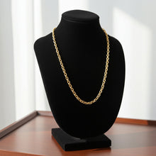 Rolo Chain - 2.6mm on Necklace Bust Display