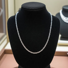 Rolo Chain - 4mm on Necklace Bust Display