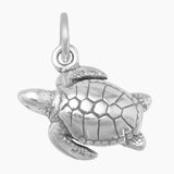 Sea Turtle Charm