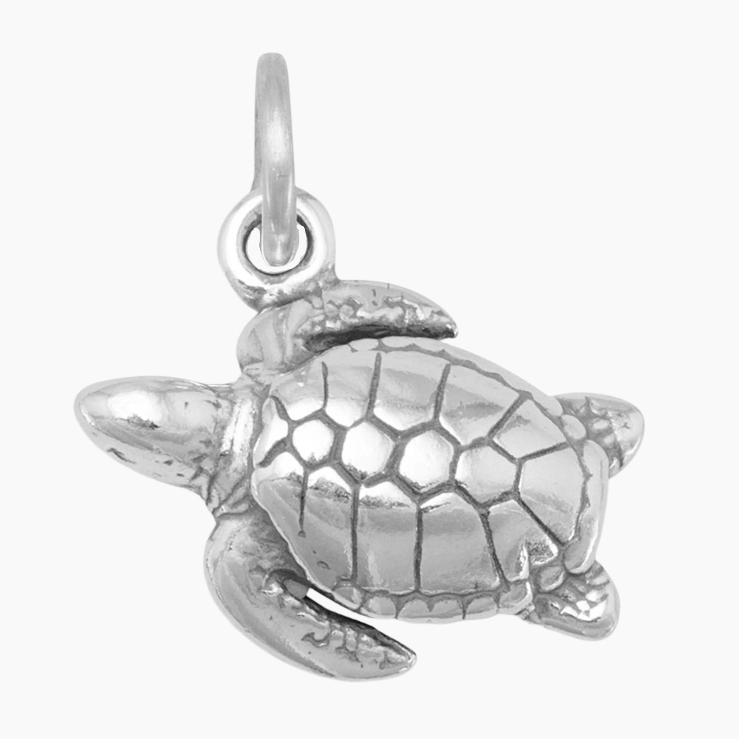 Sea Turtle Charm