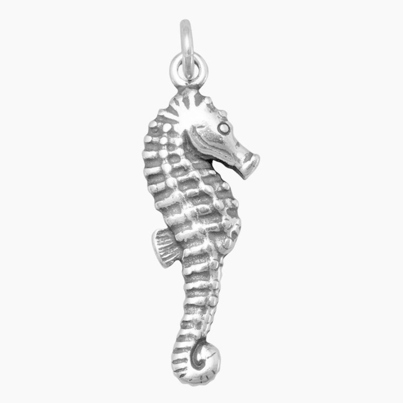 Seahorse Charm