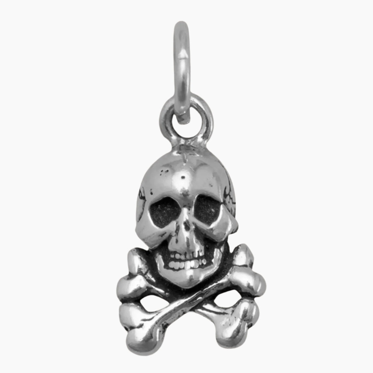 Skull and Crossbones Charm